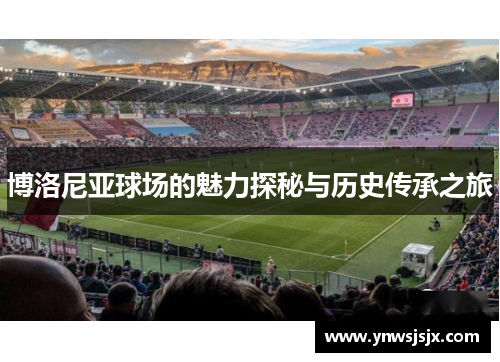 博洛尼亚球场的魅力探秘与历史传承之旅