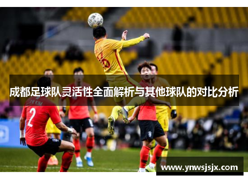 成都足球队灵活性全面解析与其他球队的对比分析