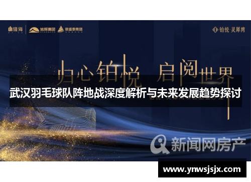 武汉羽毛球队阵地战深度解析与未来发展趋势探讨