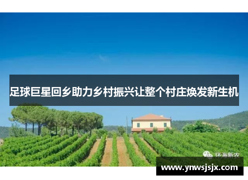 足球巨星回乡助力乡村振兴让整个村庄焕发新生机