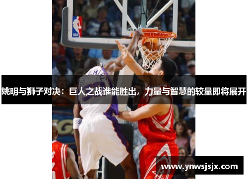 姚明与狮子对决：巨人之战谁能胜出，力量与智慧的较量即将展开