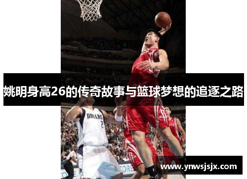 姚明身高26的传奇故事与篮球梦想的追逐之路