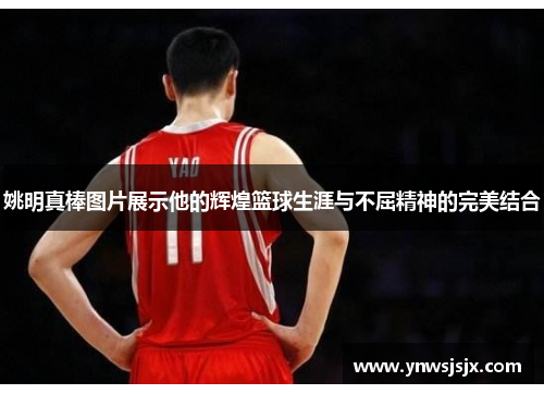 姚明真棒图片展示他的辉煌篮球生涯与不屈精神的完美结合