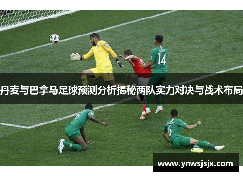 丹麦与巴拿马足球预测分析揭秘两队实力对决与战术布局