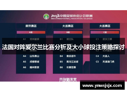法国对阵爱尔兰比赛分析及大小球投注策略探讨
